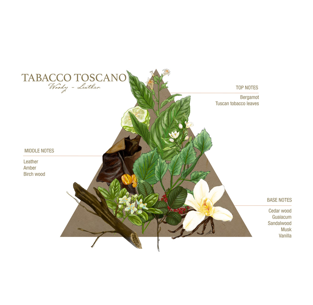 Santa Maria Novella EDC Tabacco Toscano 1221 Edition, 100ml-Mondopiero