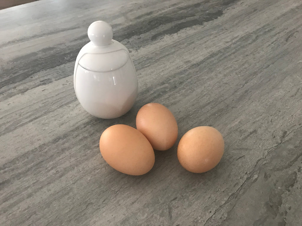 ÄGGCØDDLER - Egg Coddler - Mondopiero, Melbourne